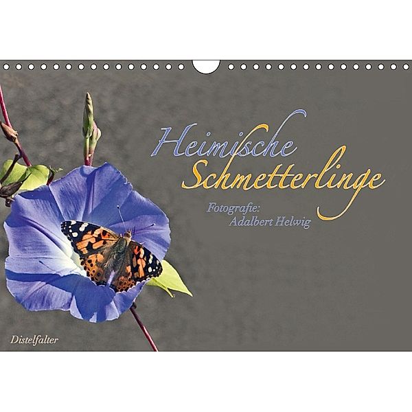 Heimische Schmetterlinge (Wandkalender 2018 DIN A4 quer), Adalbert Helwig