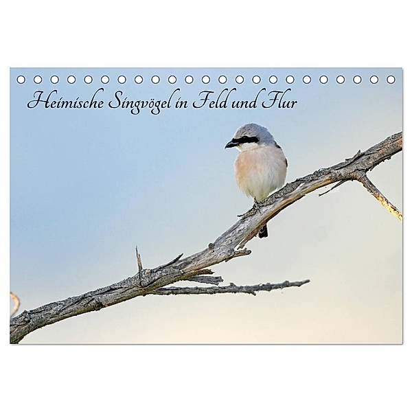 Heimische Singvögel in Feld und Flur (Tischkalender 2024 DIN A5 quer), CALVENDO Monatskalender, Benny Trapp