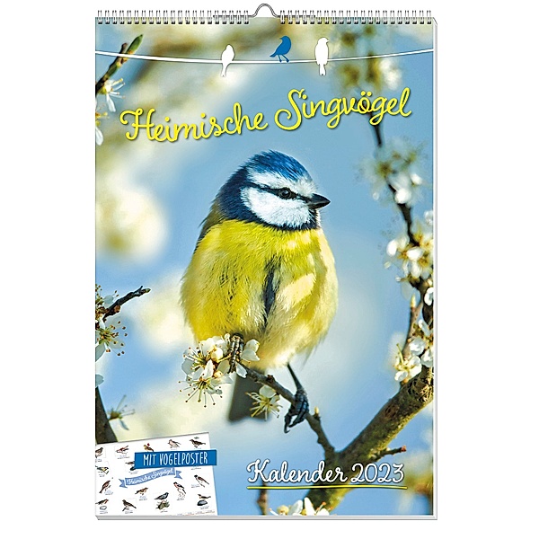 Heimische Singvögel, Posterkalender 2023