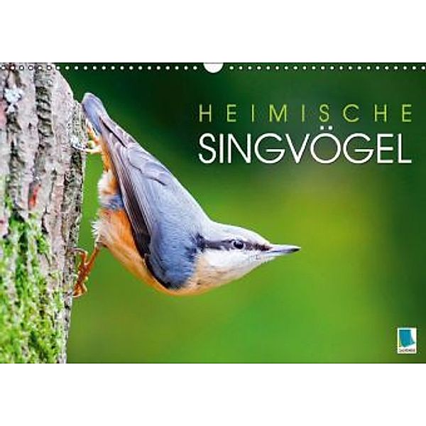 Heimische Singvögel (Wandkalender 2016 DIN A3 quer), Calvendo