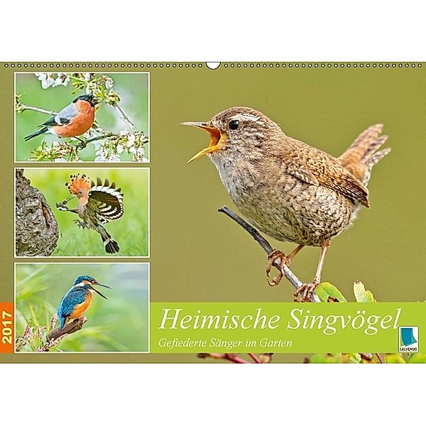 Heimische Singvögel (Wandkalender 2017 DIN A2 quer), Calvendo