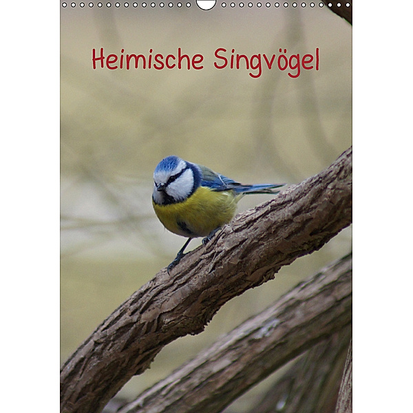 Heimische Singvögel (Wandkalender 2019 DIN A3 hoch), Kattobello
