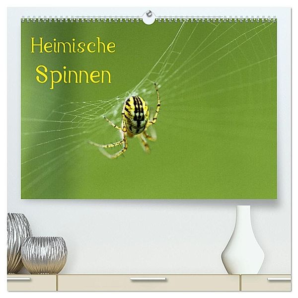Heimische Spinnen (hochwertiger Premium Wandkalender 2024 DIN A2 quer), Kunstdruck in Hochglanz, Otto Schäfer