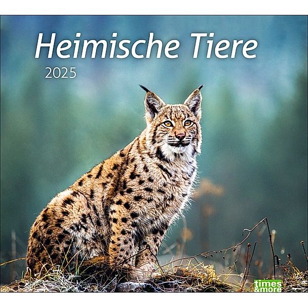 Heimische Tiere Bildkalender 2025