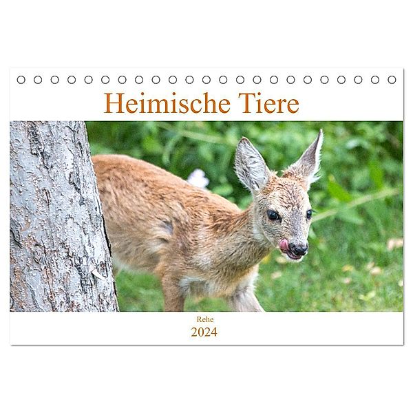 Heimische Tiere - Rehe (Tischkalender 2024 DIN A5 quer), CALVENDO Monatskalender, pixs:sell