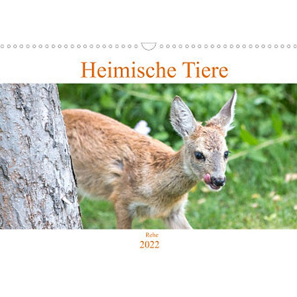 Heimische Tiere - Rehe (Wandkalender 2022 DIN A3 quer), pixs:sell