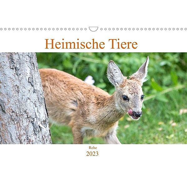 Heimische Tiere - Rehe (Wandkalender 2023 DIN A3 quer), pixs:sell