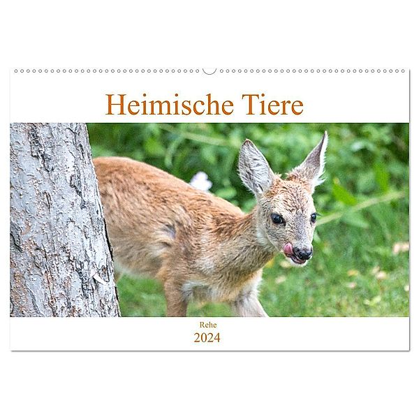 Heimische Tiere - Rehe (Wandkalender 2024 DIN A2 quer), CALVENDO Monatskalender, pixs:sell