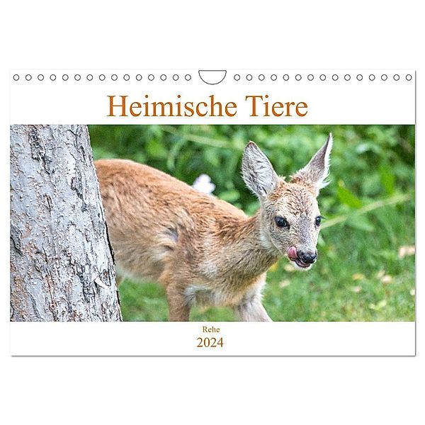 Heimische Tiere - Rehe (Wandkalender 2024 DIN A4 quer), CALVENDO Monatskalender, pixs:sell