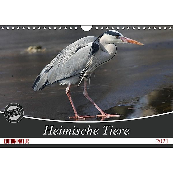 Heimische Tiere (Wandkalender 2021 DIN A4 quer), Schnellewelten