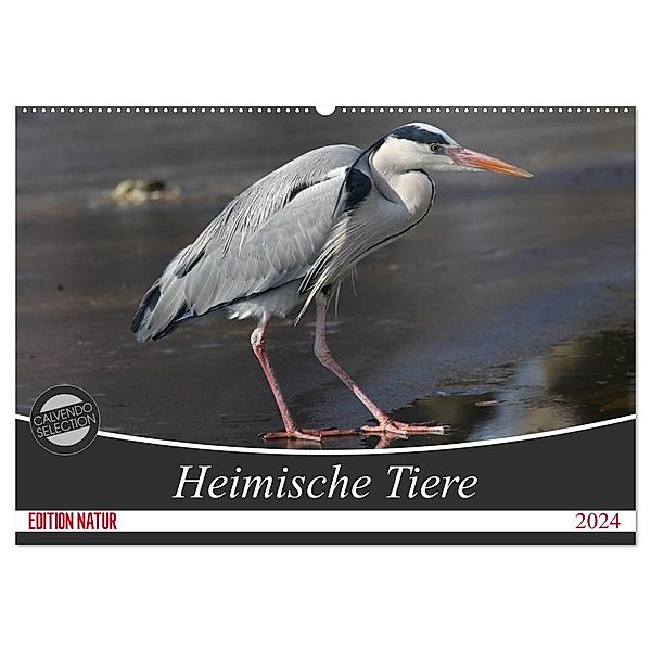 Heimische Tiere (Wandkalender 2024 DIN A2 quer), CALVENDO Monatskalender, Schnellewelten