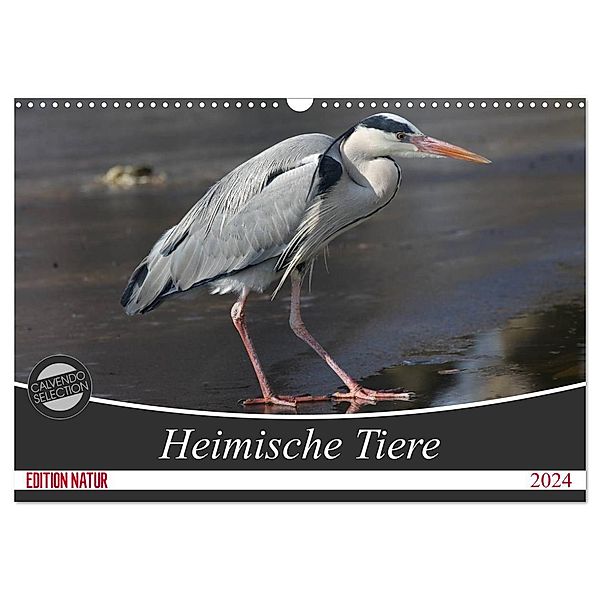 Heimische Tiere (Wandkalender 2024 DIN A3 quer), CALVENDO Monatskalender, Schnellewelten