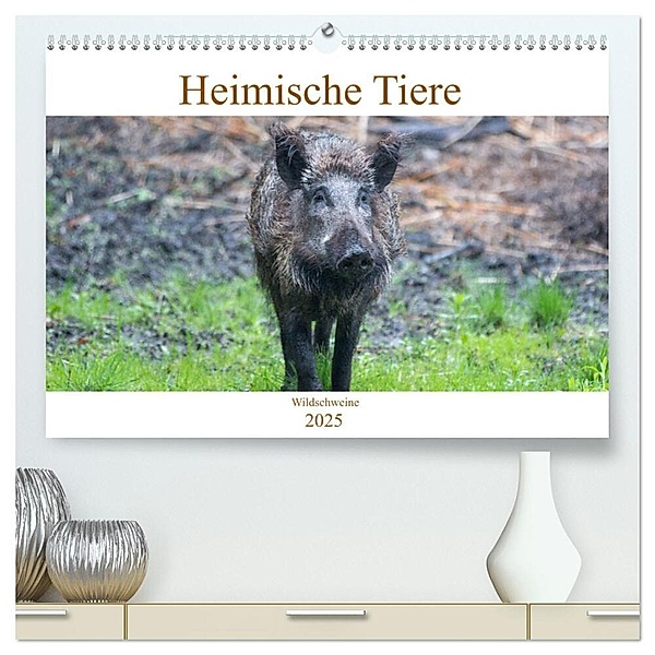 Heimische Tiere - Wildschweine (hochwertiger Premium Wandkalender 2025 DIN A2 quer), Kunstdruck in Hochglanz, Calvendo, pixs:sell
