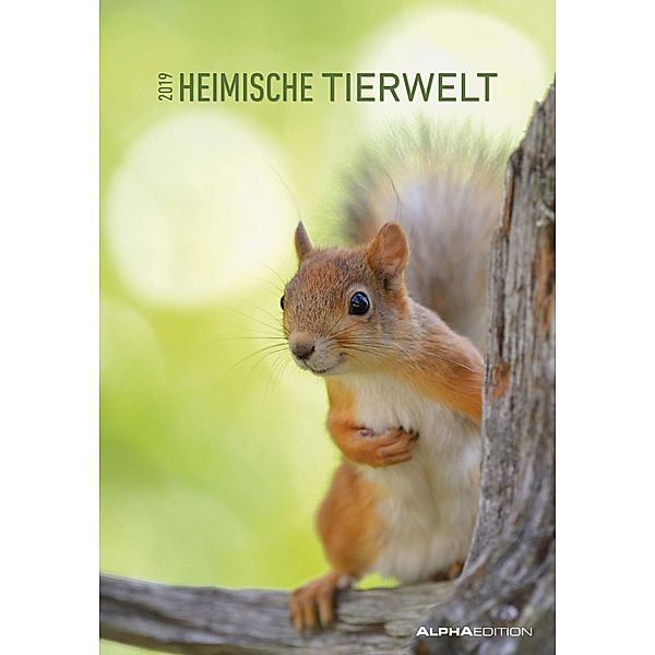 Heimische Tierwelt 2019, ALPHA EDITION