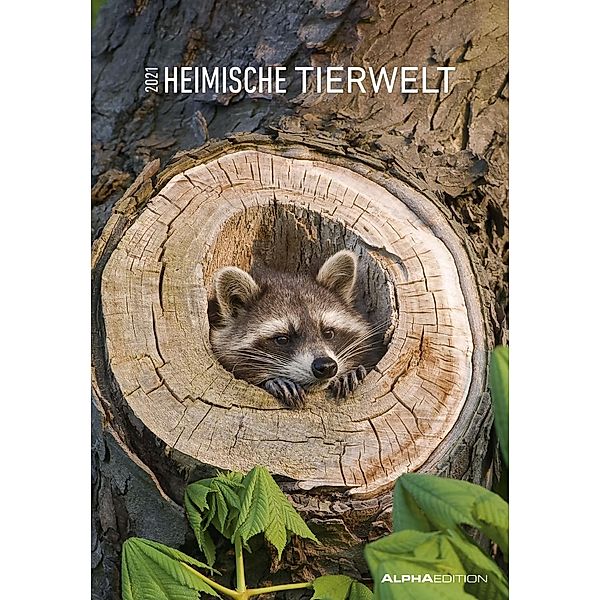 Heimische Tierwelt 2021