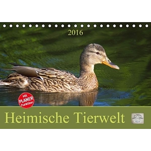 Heimische Tierwelt (Tischkalender 2016 DIN A5 quer), Angela Dölling