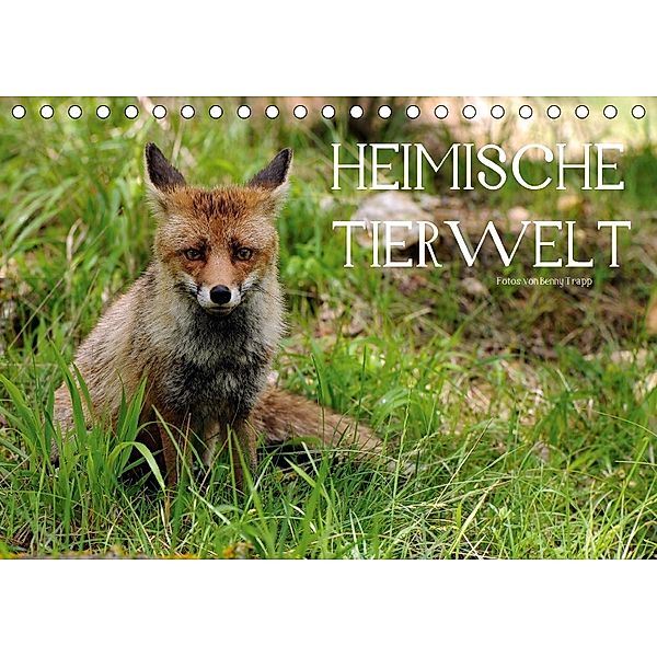 Heimische Tierwelt (Tischkalender 2018 DIN A5 quer), Benny Trapp