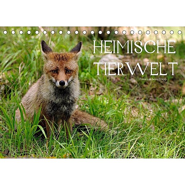 Heimische Tierwelt (Tischkalender 2023 DIN A5 quer), Benny Trapp