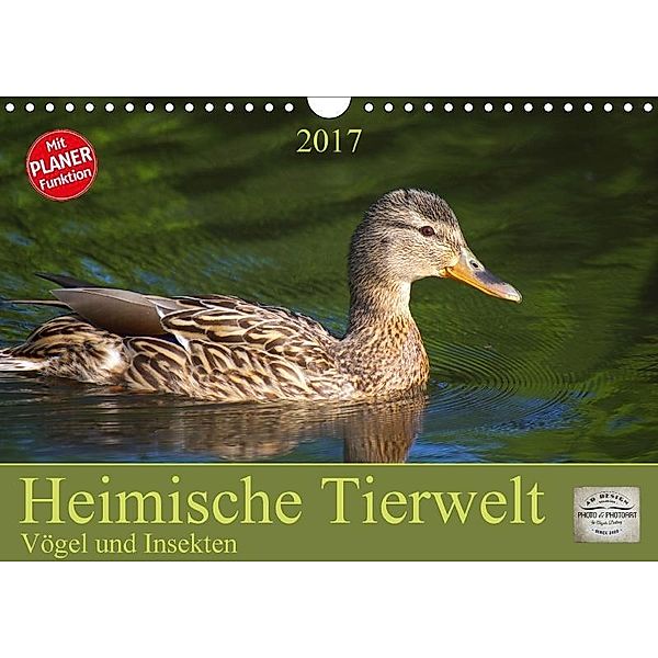 Heimische Tierwelt - Vögel und Insekten (Wandkalender 2017 DIN A4 quer), Angela Dölling