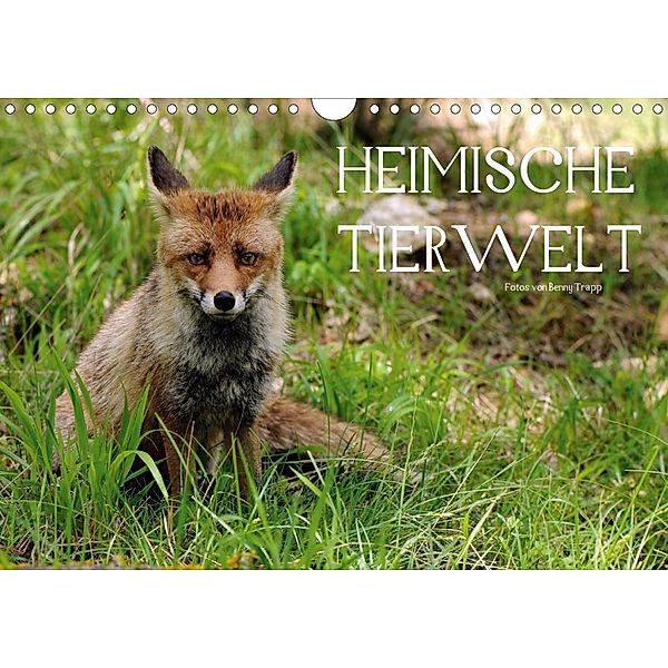 Heimische Tierwelt (Wandkalender 2020 DIN A4 quer), Benny Trapp