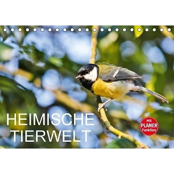 Heimische TierweltCH-Version (Tischkalender 2017 DIN A5 quer), Anette Jäger