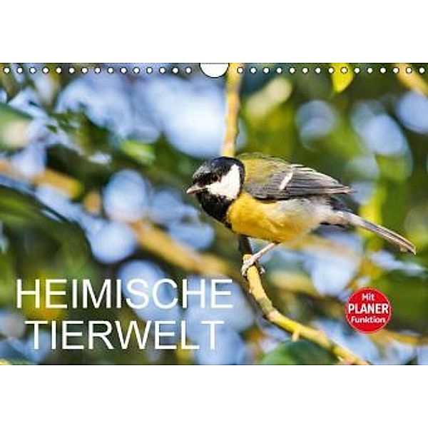 Heimische TierweltCH-Version (Wandkalender 2016 DIN A4 quer), Anette Jäger