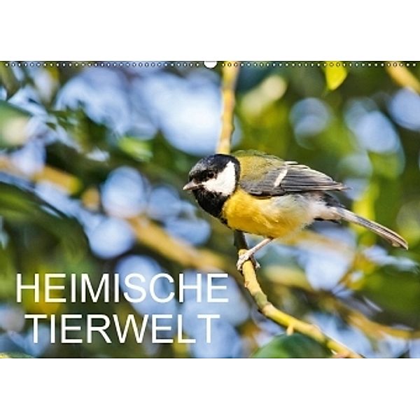 Heimische TierweltCH-Version (Wandkalender 2017 DIN A2 quer), Anette Jäger