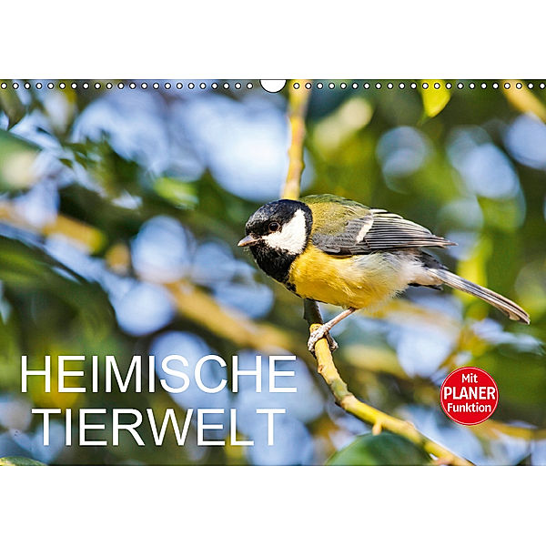 Heimische TierweltCH-Version (Wandkalender 2019 DIN A3 quer), Anette Jäger