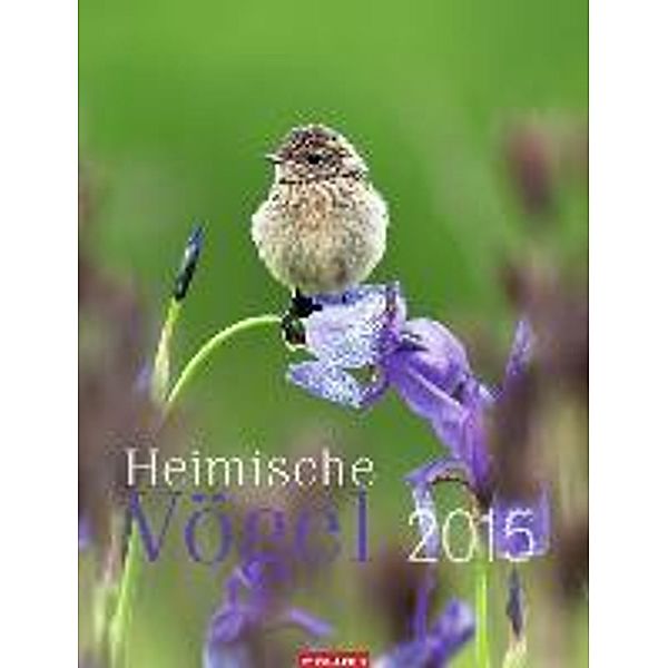 Heimische Vögel 2015