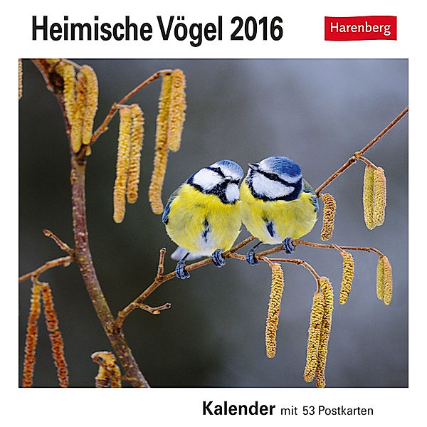 Heimische Vögel 2016