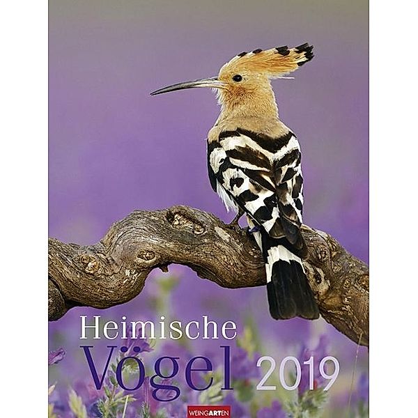 Heimische Vögel 2019