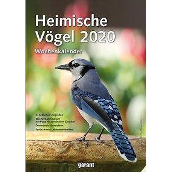 Heimische Vögel 2020
