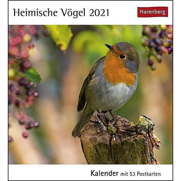 Heimische Vögel 2021