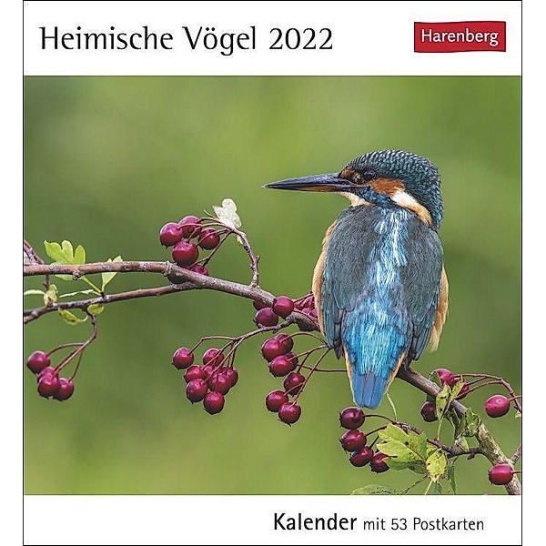 Heimische Vögel 2022