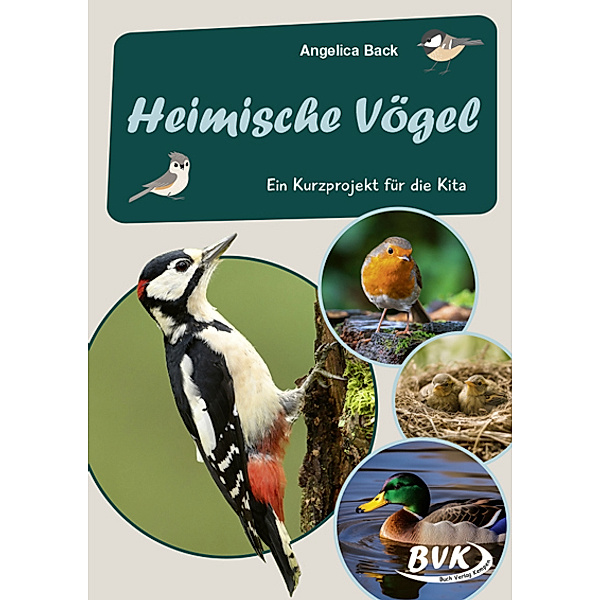 Heimische Vögel -, Angelica Back