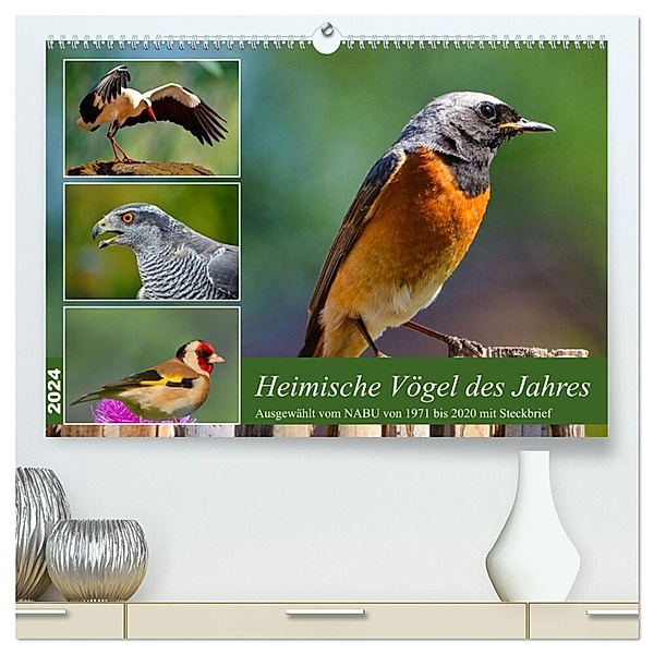 Heimische Vögel des Jahres (hochwertiger Premium Wandkalender 2024 DIN A2 quer), Kunstdruck in Hochglanz, Claudia Kleemann