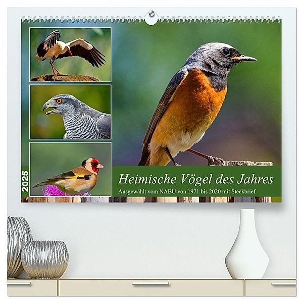 Heimische Vögel des Jahres (hochwertiger Premium Wandkalender 2025 DIN A2 quer), Kunstdruck in Hochglanz, Calvendo, Claudia Kleemann