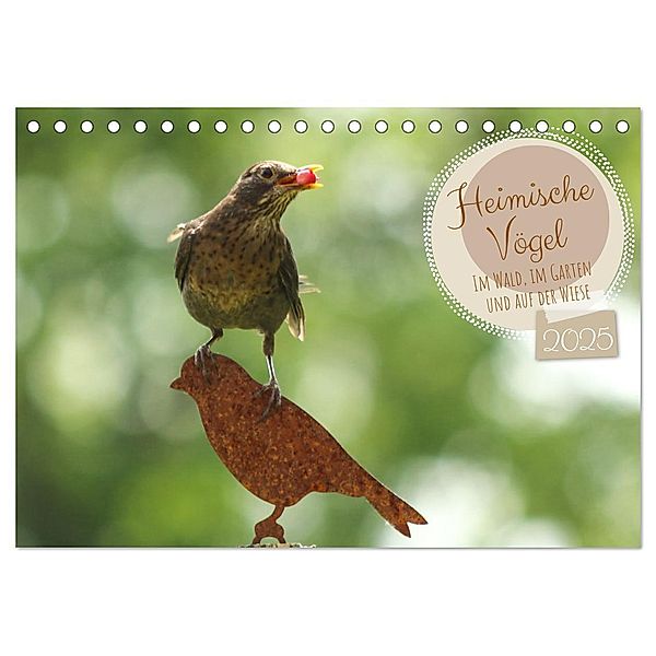 Heimische Vögel - Im Wald, im Garten und auf der Wiese (Tischkalender 2025 DIN A5 quer), CALVENDO Monatskalender, Calvendo, Angela Merk