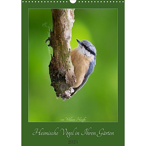 Heimische Vögel in ihren Gärten (Wandkalender 2023 DIN A3 hoch), William Hauffe