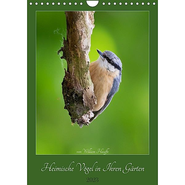 Heimische Vögel in ihren Gärten (Wandkalender 2023 DIN A4 hoch), William Hauffe