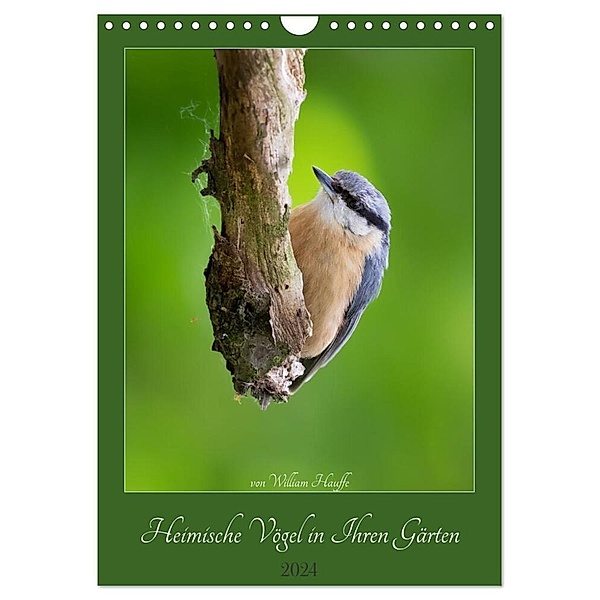 Heimische Vögel in Ihren Gärten (Wandkalender 2024 DIN A4 hoch), CALVENDO Monatskalender, William Hauffe