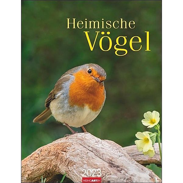 Heimische Vögel Kalender 2023. Wandkalender mit 12 tollen Fotografien heimischer Vogelarten. Tier-Kalender 2023 zum Aufh