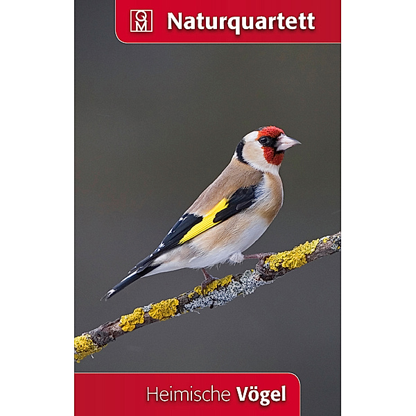 Quelle & Meyer Heimische Vögel (Kartenspiel)