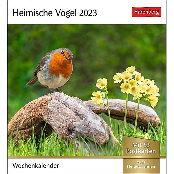 Heimische Vögel Postkartenkalender 2023. Wochenkalender im Postkartenformat mit Vogelporträts. Kleiner Kalender mit wöch