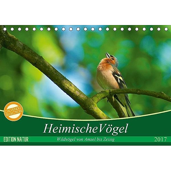Heimische Vögel (Tischkalender 2017 DIN A5 quer), Ralf Mooß