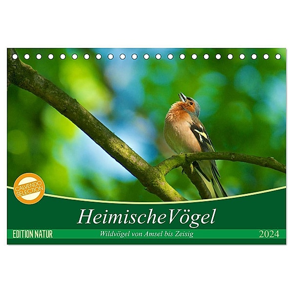 Heimische Vögel (Tischkalender 2024 DIN A5 quer), CALVENDO Monatskalender, Ralf Mooß
