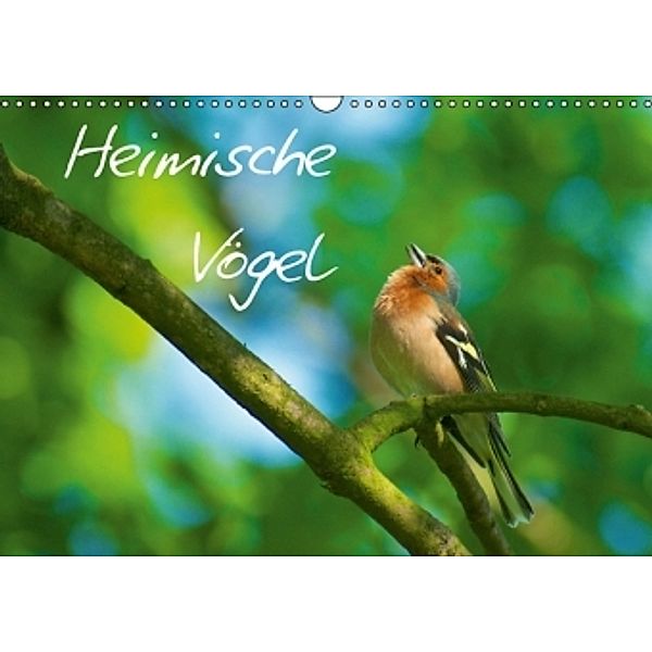 Heimische Vögel (Wandkalender 2015 DIN A3 quer), Ralf Mooß