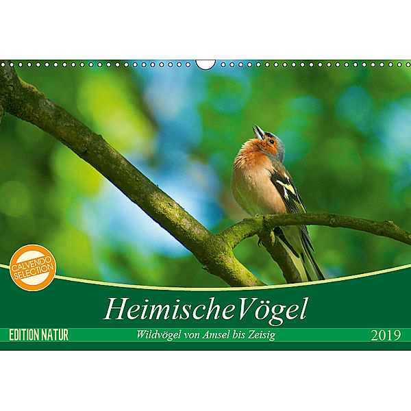 Heimische Vögel (Wandkalender 2019 DIN A3 quer), Ralf Mooß
