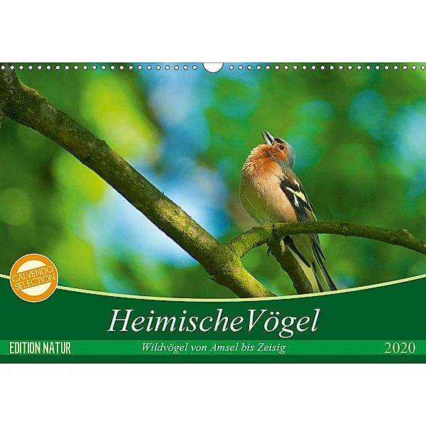 Heimische Vögel (Wandkalender 2020 DIN A3 quer), Ralf Mooß