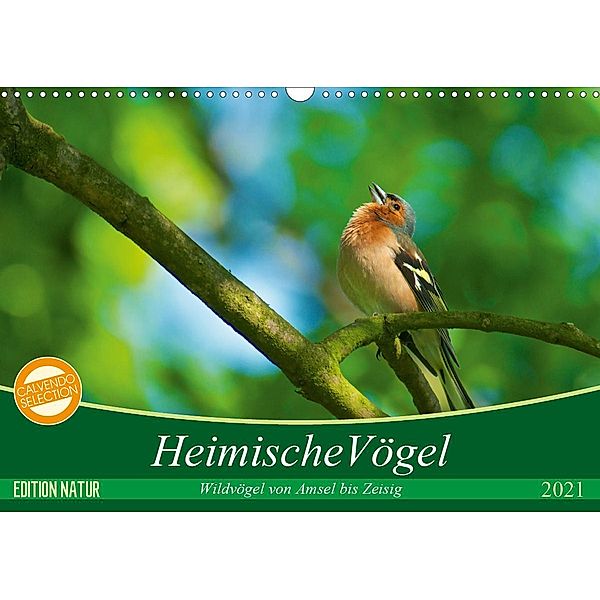 Heimische Vögel (Wandkalender 2021 DIN A3 quer), Ralf Mooß